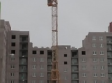 10.11.2019г